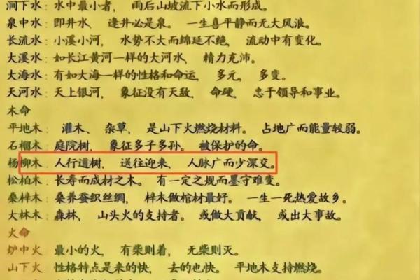 杨柳木命人适合的专业与发展方向探析