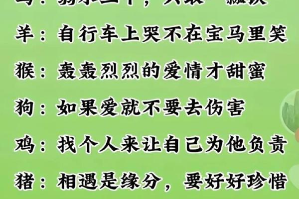 无后患无命，生肖的命运与人生哲理探讨