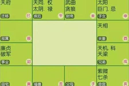 深入探讨命宫辛巳的命格特征与人生启示