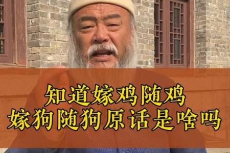 1980年出生的鸡命：激情与智慧的共舞