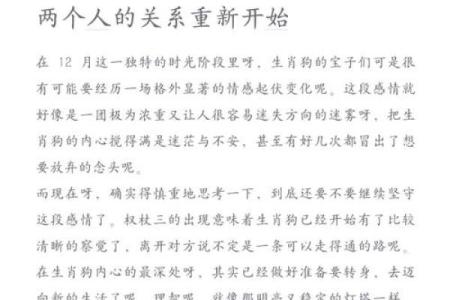 1982年出生的狗：命理分析及其性格特征解析