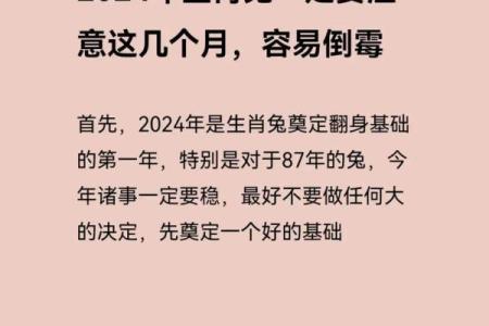 探索75年卯兔的命运与性格特征：如何利用兔年的韧性成就人生？