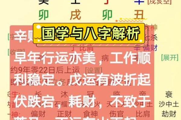 如何分辨自己是什么命，揭示命理奥秘与个人发展之路