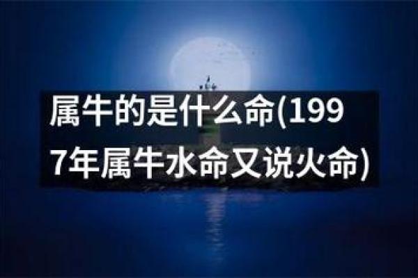 1997属牛男人的命运解读：生肖牛的独特性格与人生轨迹