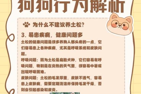 解锁土狗之命：它们在生活中的独特价值与意义