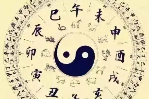 命子是什么意思？探秘生辰八字与生肖的奇妙联系