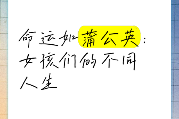 不同脚步下的命运：聆听人生的多样旋律与选择