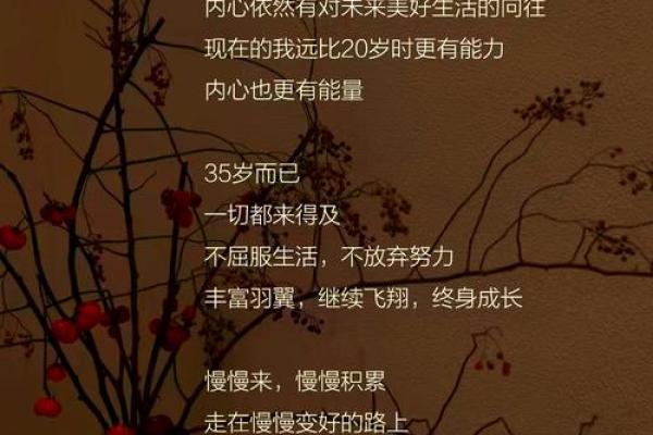 35岁属什么？探秘35岁命运与人生的奇妙旅程