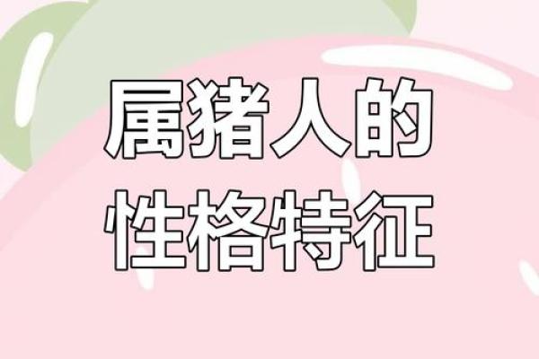 2007年猪宝宝命运解析：揭秘你的性格与运势