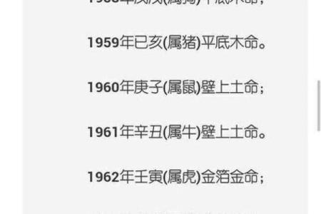 1992年出生的人属什么命？揭秘木命的神秘内涵与特点