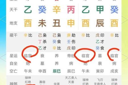 探寻命理之美：解析命理爱好的字词与内涵