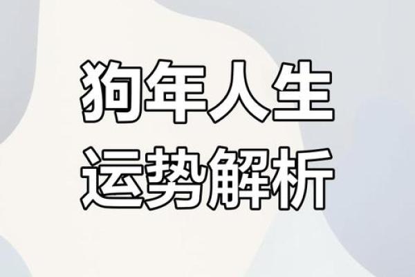 狗年出生的人：18岁属狗的命理解析与人生启示