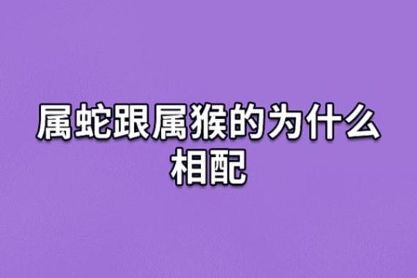 77年属蛇的人命运与性格解析：揭秘这个生肖的神秘魅力与人生道路