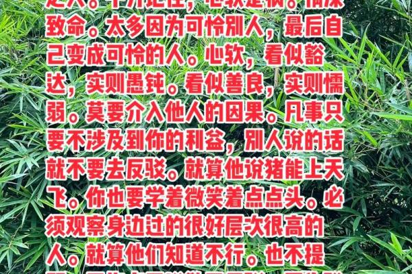 无所期待的命运，却藏着无尽的可能性与惊喜