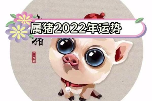 2019年属猪男孩的命运解析：聪慧与坚韧并存，如何迎接美好未来？