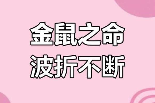 2020年属鼠的孩子命运解析：探索命理与成长机会