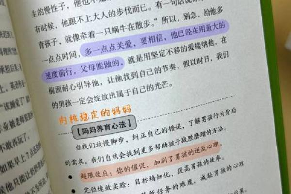 加纳的生命之谜：探索其背后的人文与自然之美