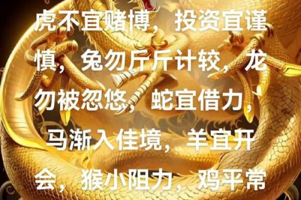 鼠年出生的人：什么命最好？解密鼠年命理之奥秘！