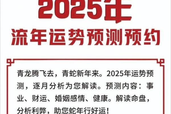 鼠年11月：命运的转折与运势解析，揭示未来的机会与挑战！