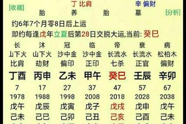 探寻42岁命格：五行秘境中的精彩人生