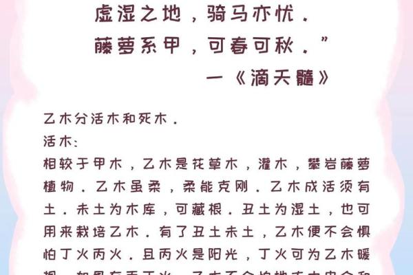 乙木命女性在命理中的代表与特征解析