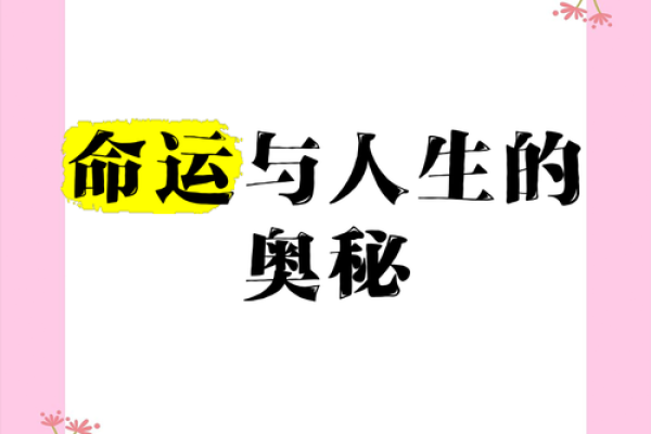 探索11月17日出生的命格与人生旅程的奥秘