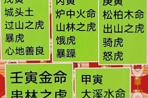 属虎命理解析：为何虎年生人被称为木命？