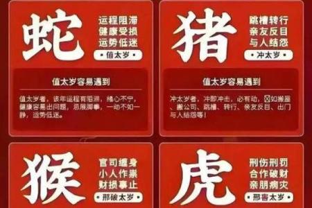 了解1975年出生者的生肖：兔年人的命运与特征解析