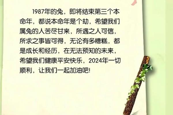 1975年属兔人，解密你的命运与未来之路！