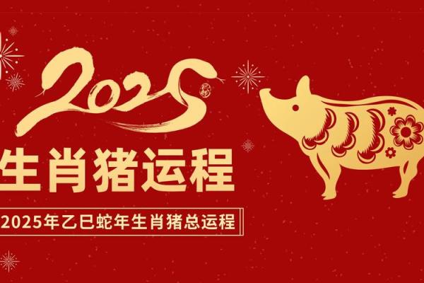 2019年是什么生肖年？揭开豬年命理的奥秘与启示