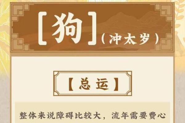 82年狗命格解析：性格特征与缺失运势的全面剖析