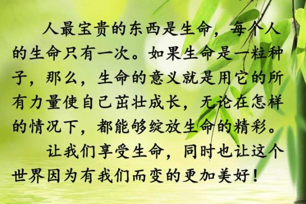 小麦一命换一命：生命的价值与牺牲的意义