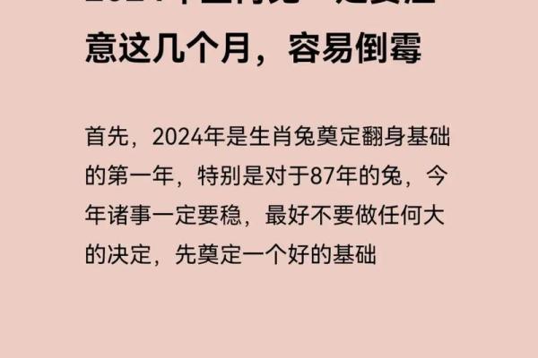 1999年兔命解析：兔年出生的人缺什么，如何弥补？