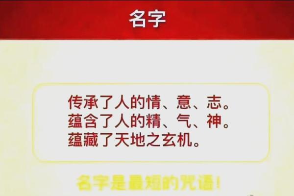 看名字能告诉我们什么命运？揭秘姓名学的奥秘！