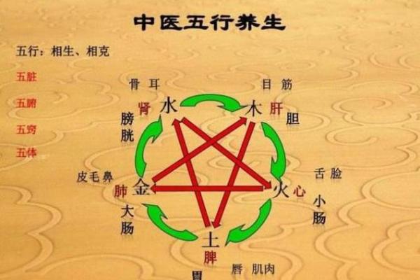 23号出生的人命理特征及人生方向解析