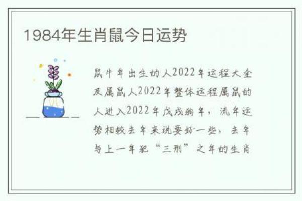 71年出生的人属什么生肖？探秘命运解读与人生旅程