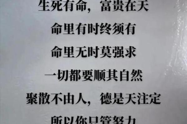 养什么都养不活，命中注定的无奈与启示