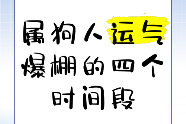 2019年属狗人的命运解析：性格、运势与发展机会