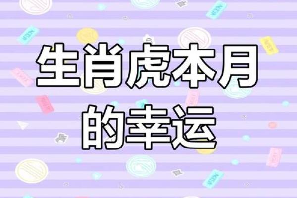 揭秘水虎命的颜色搭配，助你事业与生活双丰收！