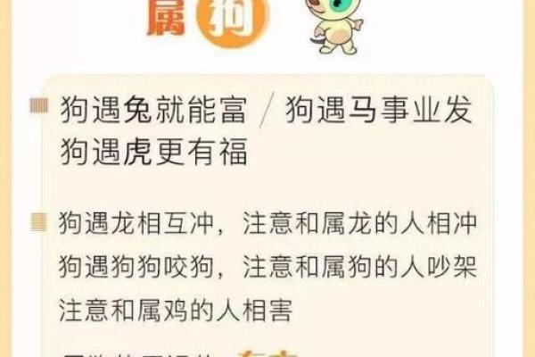 28个属相中的狗：命运与性格的深度解析