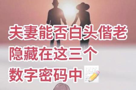 从八字看女命，揭示你的婚姻时间与幸福密码