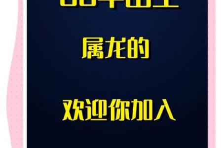 1988年出生者的命运解析：属龙的他们如何掌控人生与机遇？