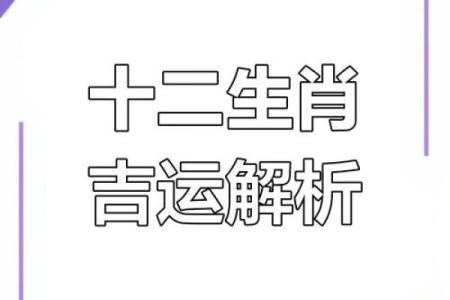 虎年蛇年的命格解析：揭示生肖相合的命运奥秘