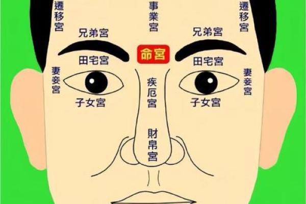 眉毛高低与命运：探秘面相学中的眉毛之谜