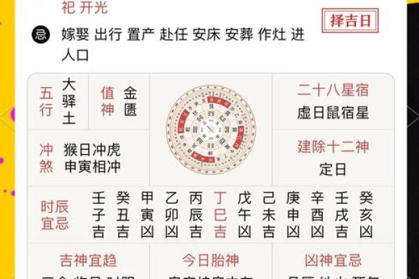 属鼠人的命运与性格分析：探索鼠年出生者的命理之旅