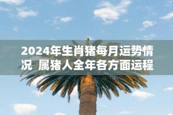 属猪男孩命格揭秘：你最需要知道的命运与运势