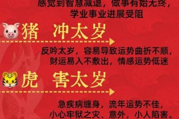 命格龙凤与生肖的最佳搭配，揭秘命理之道！