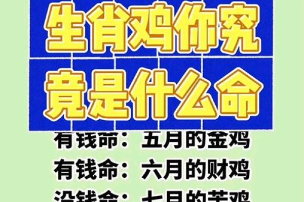 1977年属鸡的命运与人生解析：从性格到事业的深度剖析