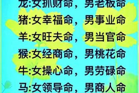 属相与命运：揭示你的命格之道