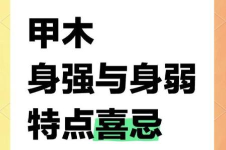 甲木命的职业选择：适合你的理想发展之路